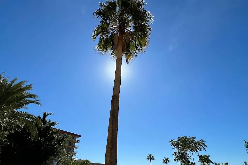 Estudio Aguila Con Vistas Al Mar Benalmádena Espagne